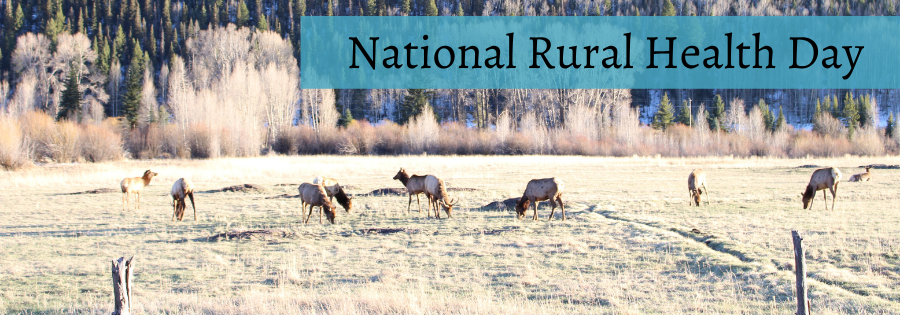 National Rural Health Day: The Power of Rural is The Way We Work